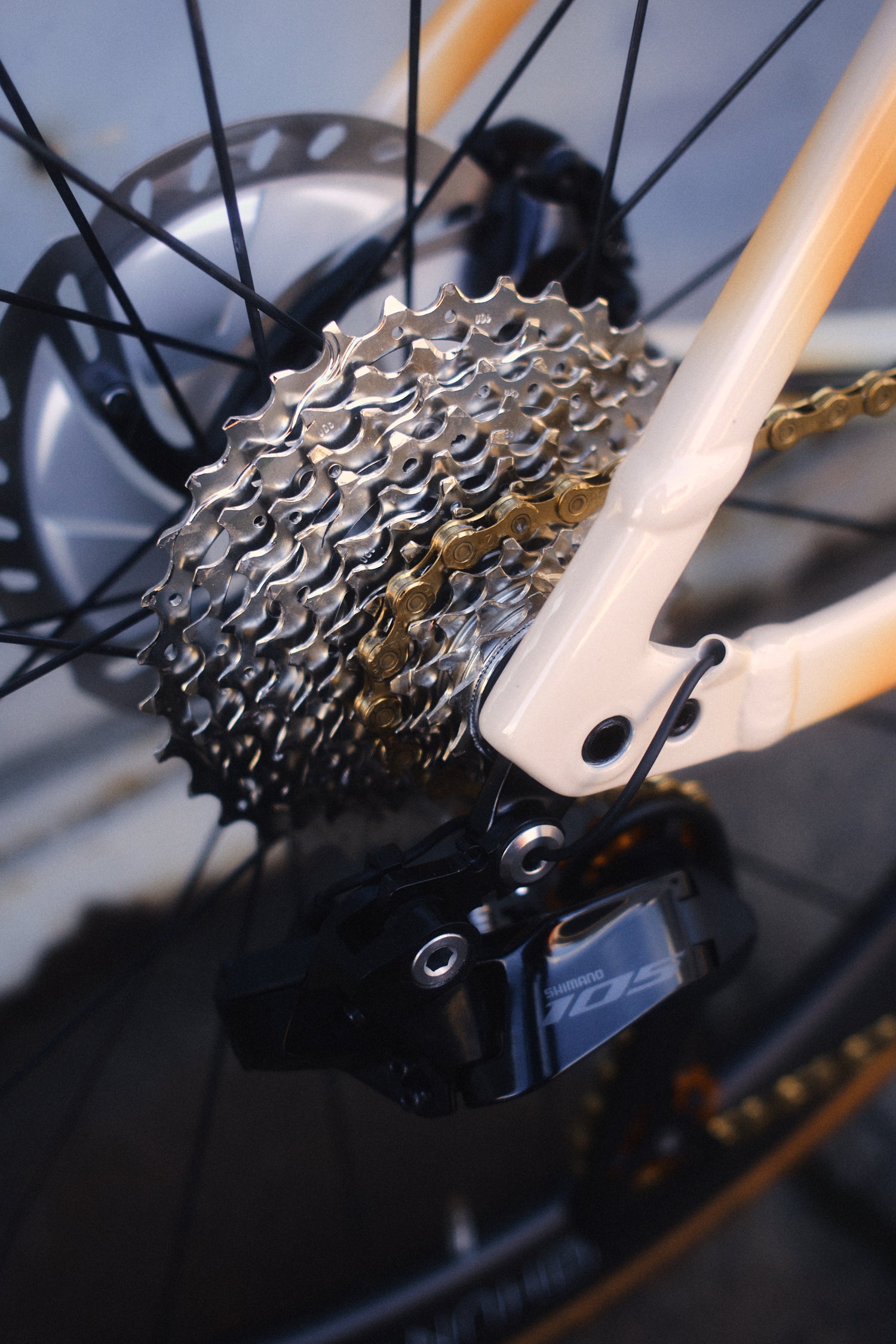 Foto eines Fahrradhinterbaus. Im Vordergrund ist eine glänzende Fahrradkassette und eine goldene Fahrradkette.